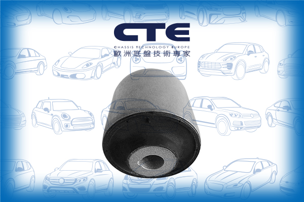 Rubber Bushing/MERCEDES-BENZ/S-CLASS (W221)/S-CLASS Coupe (C216)