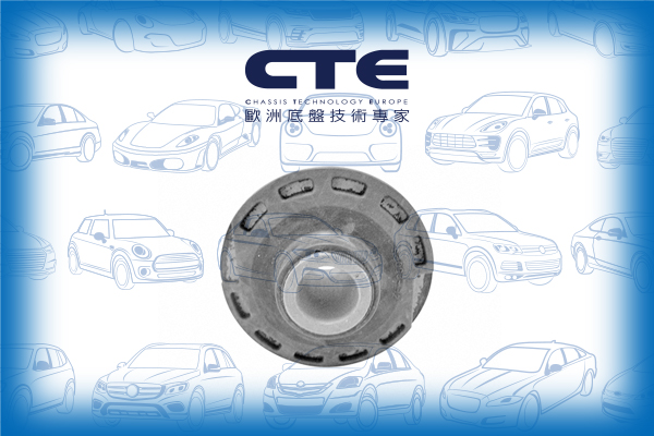 Rubber Bushing/CITROËN/C2 (JM_)/C3 I (FC_, FN_)/C3 II (SC_)/C3 PICASSO (SH_)/C3 Pluriel (HB_)