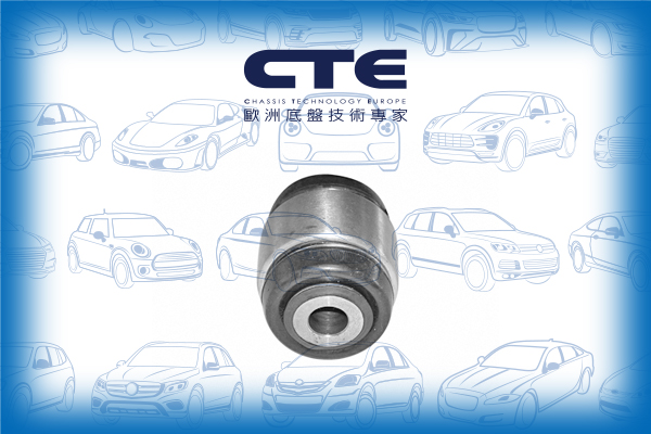Rubber Bushing/SAAB/9-5 (YS3E)