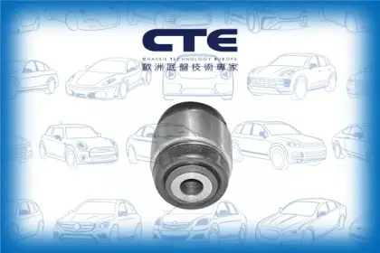 Rubber Bushing/SAAB/9-5 (YS3E)