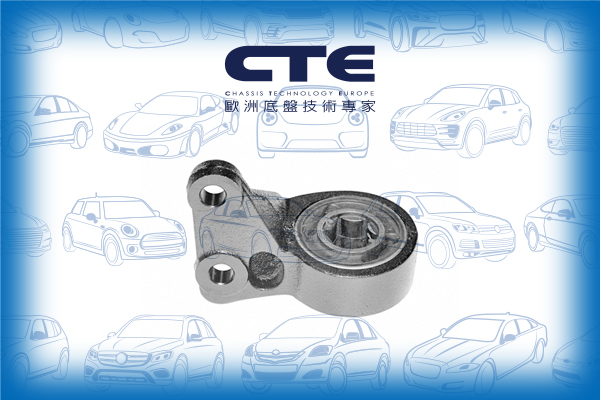 Rubber Bushing//ROVER/75 (RJ)/75 I Tourer (RJ)/MG ZT/MG ZT- T