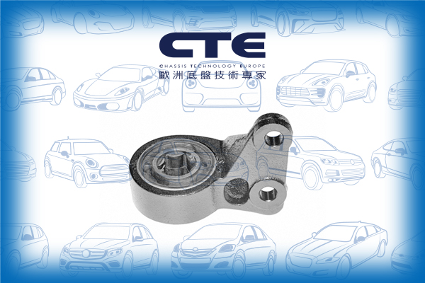 Rubber Bushing//ROVER/75 (RJ)/75 I Tourer (RJ)/MG ZT/MG ZT- T