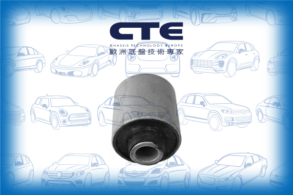 Rubber Bushing/LAND ROVER/FREELANDER I (L314)