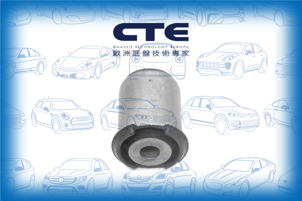 Rubber Bushing/LAND ROVER/RANGE ROVER SPORT I (L320)