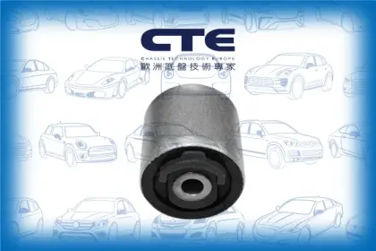 Rubber Bushing/JAGUAR/S-TYPE II (X200)
