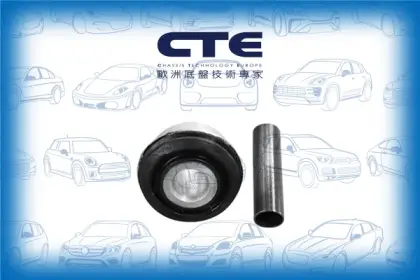 Rubber Bushing/JAGUAR/S-TYPE II (X200)