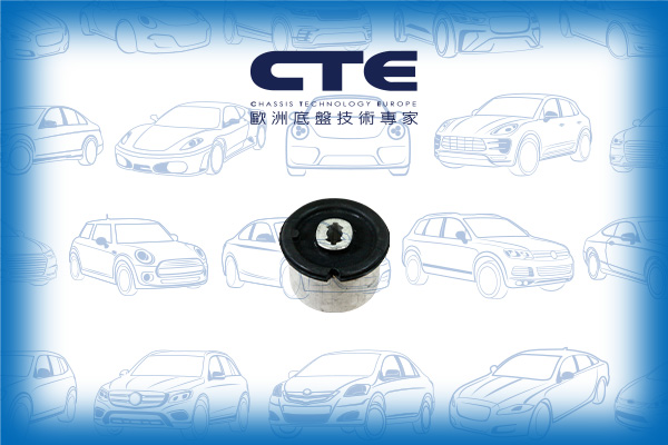 Rubber Bushing/PORSCHE/PANAMERA (970)