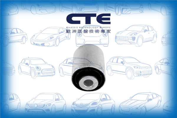 Rubber Bushing/PORSCHE/PANAMERA (970)