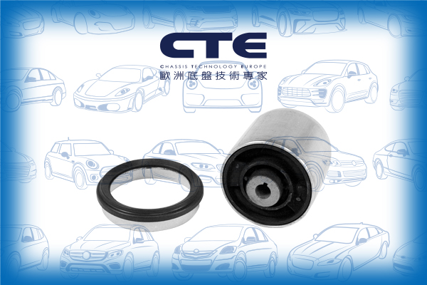 Rubber Bushing/PORSCHE/PANAMERA (970)