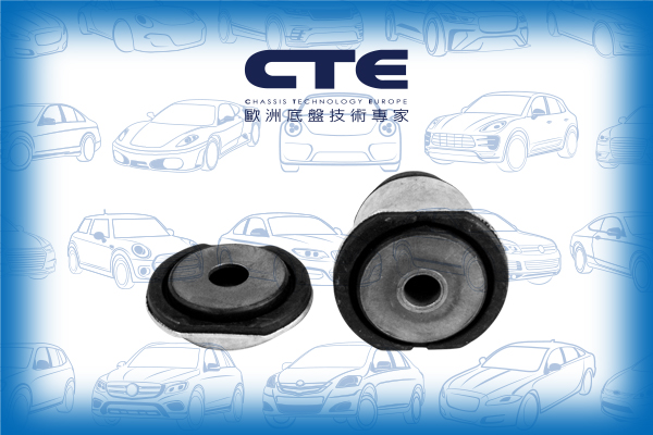 Rubber Bushing/PORSCHE/PANAMERA (970)