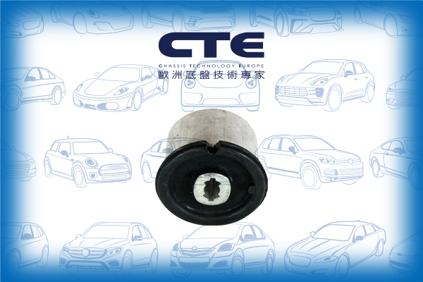 Rubber Bushing/PORSCHE/PANAMERA (970)