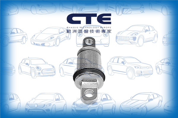 Rubber Bushing/FERRARI/F430/F430 Spider