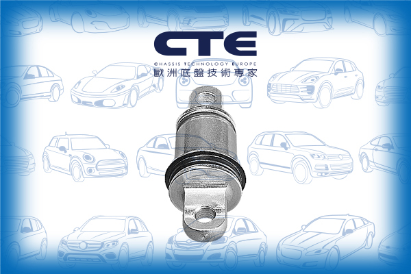 Rubber Bushing/FERRARI/F430/F430 Spider