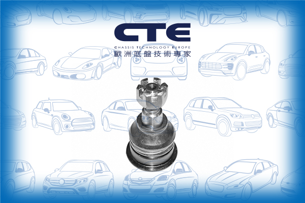 Ball Joint/INFINITI/NISSAN/CEFIRO II Saloon (A32)/J30/MAXIMA / MAXIMA QX IV (A32)/MAXIMA / MAXIMA QX IV Station Wagon (A32)
