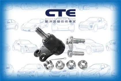 Ball Joint/NISSAN/MAXIMA III (J30)