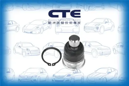Ball Joint/NISSAN/TIIDA Hatchback (C11) | LATIO/TIIDA Saloon (SC11) | TIIDA LATIO