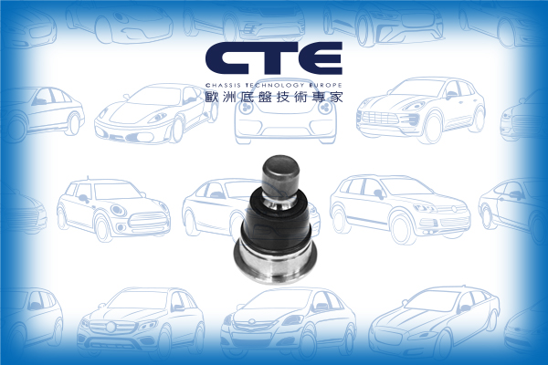 Ball Joint/NISSAN/RENAULT/KOLEOS I (HY_)/QASHQAI / QASHQAI +2 I (J10, NJ10, JJ10E) | DUALIS/X-TRAIL (T31)
