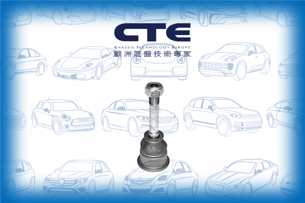 Ball Joint/ALPINA/BMW/3 (E30)/3 (E36)/3 Compact (E36)/3 Convertible (E30)/3 Convertible (E36)/3 Coupe (E36)/3 Touring (E30)/3 Touring (E36)/B3 (E30)/B3 Convertible (E30)/B3 Touring (E30)/B6 (E36)/C1 (E30)/C2 (E30)/C2 Convertible (E30)/Z3 Coupe (E36)/Z3 Ro
