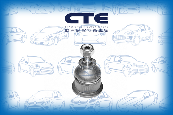 Ball Joint/ALPINA/BMW/3 (E30)/3 Convertible (E30)/3 Touring (E30)/B3 (E30)/B3 Convertible (E30)/B3 Touring (E30)/C1 (E30)/C2 (E30)/C2 Convertible (E30)