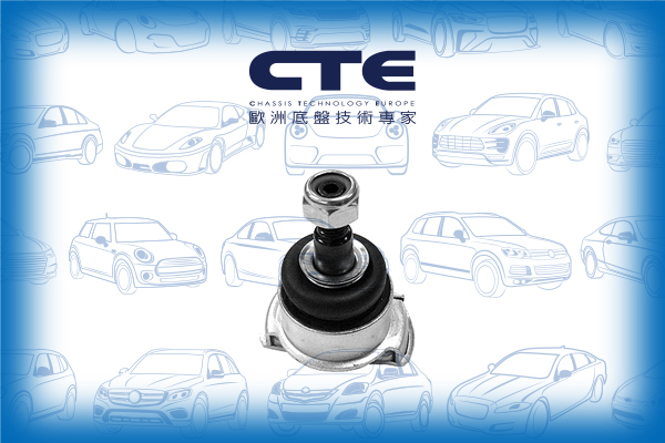 Ball Joint/ALPINA/BMW/3 (E36)/3 Compact (E36)/3 Convertible (E36)/3 Coupe (E36)/3 Touring (E36)/B6 (E36)/Z3 Coupe (E36)/Z3 Roadster (E36)