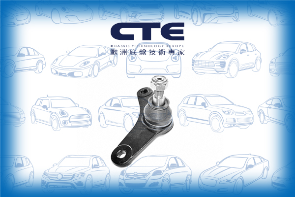 Ball Joint/MINI/MINI (R50, R53)/MINI (R56)/MINI Convertible (R52)