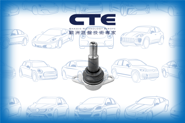 Ball Joint/BMW/X3 (F25)/X4 (F26)