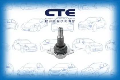 Ball Joint/BMW/X3 (F25)/X4 (F26)