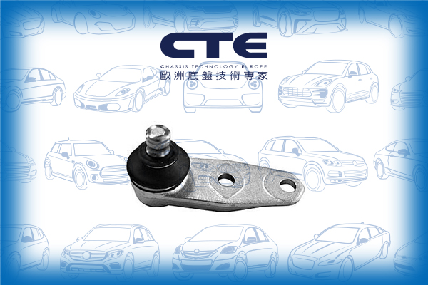 Ball Joint/RENAULT/CLIO II (BB_, CB_) | LUTECIA/CLIO II Hatchback Van (SB0/1/2_)
