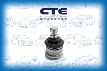 Ball Joint/RENAULT/CLIO III (BR0/1, CR0/1) | LUTECIA/GRAND SCÉNIC II (JM0/1_)/MEGANE II (BM0/1_, CM0/1_)/MEGANE II Coupé-Cabriolet (EM0/1_)/MEGANE II Saloon (LM0/1_)/MODUS / GRAND MODUS (F/JP0_)/SCÉNIC II (JM0/1_)