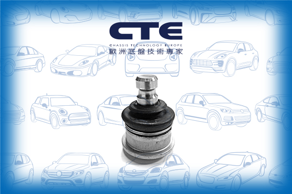 Ball Joint/RENAULT/MEGANE II (BM0/1_, CM0/1_)/MEGANE II Saloon (LM0/1_)