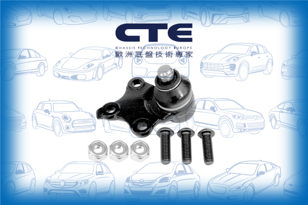 Ball Joint/CITROËN/PEUGEOT/BERLINGO / BERLINGO FIRST MPV (MF_, GJK_, GFK_)/PARTNER MPV (5_, G_) | RANCH/XSARA (N1)/ZX (N2)
