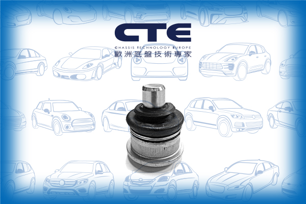 Ball Joint/CITROËN/PEUGEOT/106 I (1A, 1C)/106 II (1A_, 1C_)/SAXO (S0, S1) | CHANSON