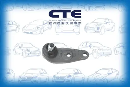 Ball Joint/AUDI/VOLKSWAGEN/80 B2 Saloon (811, 813, 814, 819, 853)/PASSAT B1 (32)/PASSAT B2 (32B)/SANTANA (32B)