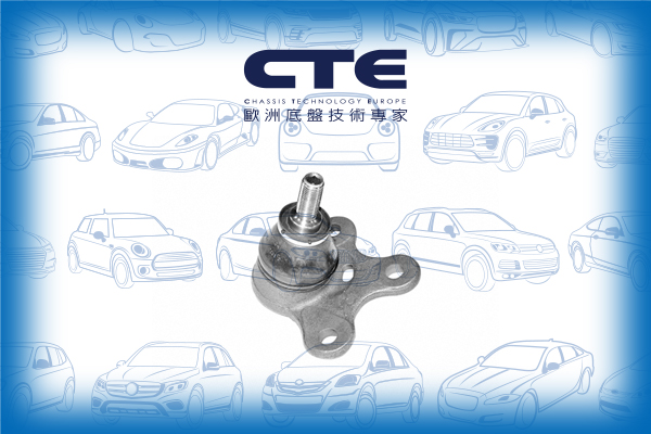 Ball Joint/VOLKSWAGEN/POLO (6N2)/POLO III (6N1)