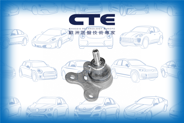 Ball Joint/VOLKSWAGEN/POLO (6N2)/POLO III (6N1)