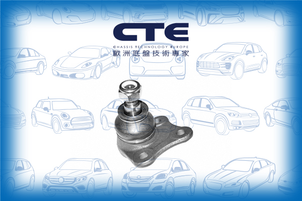 Ball Joint/AUDI/SEAT/SKODA/VOLKSWAGEN/A3 (8L1)/BORA I (1J2)/GOLF IV (1J1)/LEON (1M1)/NEW BEETLE (9C1, 1C1)/OCTAVIA I (1U2)/TOLEDO II (1M2)