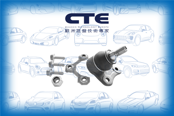 Ball Joint/AUDI/SEAT/SKODA/VOLKSWAGEN/A3 (8L1)/BORA I (1J2)/GOLF IV (1J1)/LEON (1M1)/OCTAVIA I (1U2)/TOLEDO II (1M2)