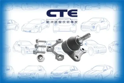 Ball Joint/AUDI/SEAT/SKODA/VOLKSWAGEN/A3 (8L1)/BORA I (1J2)/GOLF IV (1J1)/LEON (1M1)/OCTAVIA I (1U2)/TOLEDO II (1M2)