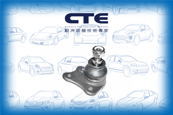 Ball Joint/AUDI/SEAT/SKODA/VOLKSWAGEN/A3 (8L1)/BORA I (1J2)/GOLF IV (1J1)/LEON (1M1)/NEW BEETLE (9C1, 1C1)/OCTAVIA I (1U2)/TOLEDO II (1M2)