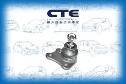 Ball Joint/AUDI/SEAT/SKODA/VOLKSWAGEN/A3 (8L1)/BORA I (1J2)/GOLF IV (1J1)/LEON (1M1)/NEW BEETLE (9C1, 1C1)/OCTAVIA I (1U2)/TOLEDO II (1M2)