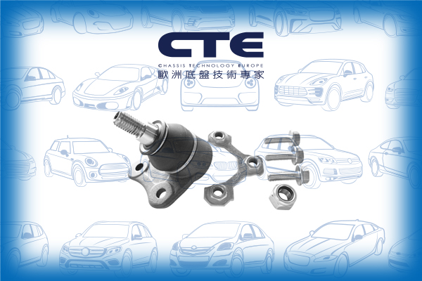 Ball Joint/AUDI/SEAT/SKODA/VOLKSWAGEN/A3 (8L1)/BORA I (1J2)/GOLF IV (1J1)/LEON (1M1)/OCTAVIA I (1U2)/TOLEDO II (1M2)