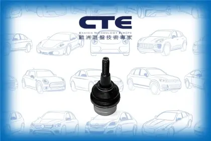Ball Joint/AUDI/A4 B8 (8K2)/A4 B8 Avant (8K5)/A5 (8T3)/A5 Sportback (8TA)