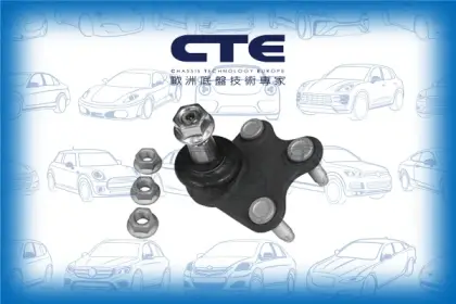 Ball Joint/AUDI/SEAT/SKODA/VOLKSWAGEN/A1 (8X1, 8XK)/A1 Sportback (8XA, 8XF)/CITIGO (NF1)/CORDOBA (6L2)/FABIA II (542)/FABIA II Combi (545)/FABIA III (NJ3)/FABIA III Estate (NJ5)/IBIZA III (6L1)/POLO (9N_)/POLO V (6R1, 6C1)/POLO V Saloon (602, 604, 612, 61