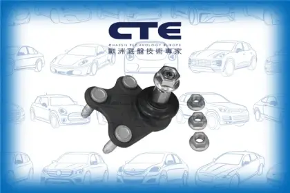 Ball Joint/AUDI/SEAT/SKODA/VOLKSWAGEN/A1 (8X1, 8XK)/A1 Sportback (8XA, 8XF)/CITIGO (NF1)/CORDOBA (6L2)/FABIA II (542)/FABIA II Combi (545)/FABIA III (NJ3)/FABIA III Estate (NJ5)/IBIZA III (6L1)/POLO (9N_)/POLO V (6R1, 6C1)/POLO V Saloon (602, 604, 612, 61