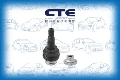 Ball Joint/AUDI/PORSCHE/A4 Allroad B8 (8KH)/A4 B8 (8K2)/A4 B8 Avant (8K5)/A4 B9 (8W2, 8WC)/A5 (8T3)/A5 Convertible (8F7)/A5 Sportback (8TA)/A6 Allroad C7 (4GH, 4GJ)/A6 C7 (4G2, 4GC)/A6 C7 Avant (4G5, 4GD)/A7 Sportback (4GA, 4GF)/MACAN (95B)/Q5 (8RB)