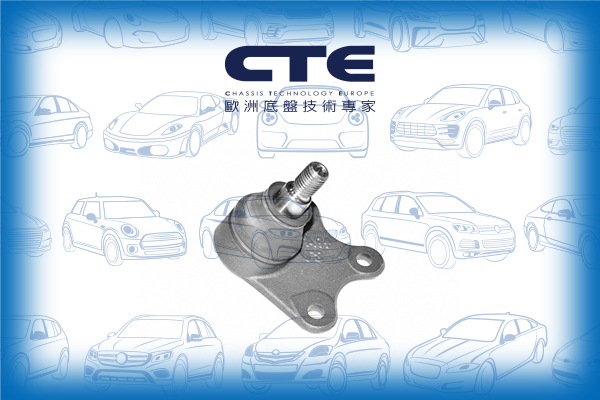 Ball Joint/SEAT/SKODA/VOLKSWAGEN/FABIA I (6Y2)/FABIA I Combi (6Y5)/FABIA I Praktik (6Y5)/FABIA I Saloon (6Y3)/FABIA II (542)/IBIZA III (6L1)/POLO (9N_)