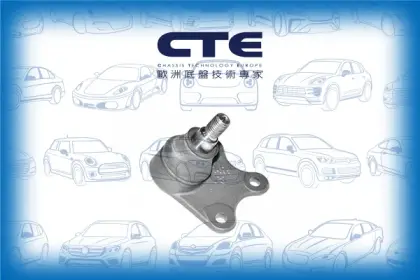 Ball Joint/SEAT/SKODA/VOLKSWAGEN/FABIA I (6Y2)/FABIA I Combi (6Y5)/FABIA I Praktik (6Y5)/FABIA I Saloon (6Y3)/FABIA II (542)/IBIZA III (6L1)/POLO (9N_)