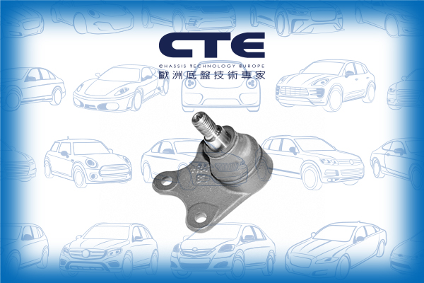 Ball Joint/SEAT/SKODA/VOLKSWAGEN/FABIA I (6Y2)/FABIA I Combi (6Y5)/FABIA I Praktik (6Y5)/FABIA I Saloon (6Y3)/FABIA II (542)/IBIZA III (6L1)/POLO (9N_)