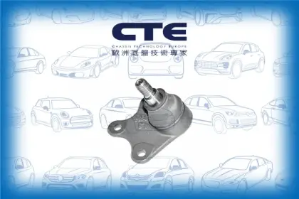 Ball Joint/SEAT/SKODA/VOLKSWAGEN/FABIA I (6Y2)/FABIA I Combi (6Y5)/FABIA I Praktik (6Y5)/FABIA I Saloon (6Y3)/FABIA II (542)/IBIZA III (6L1)/POLO (9N_)