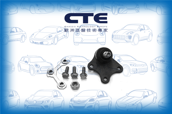 Ball Joint/SEAT/SKODA/VOLKSWAGEN/FABIA I (6Y2)/FABIA I Combi (6Y5)/FABIA I Praktik (6Y5)/FABIA I Saloon (6Y3)/FABIA II (542)/IBIZA III (6L1)/POLO (9N_)